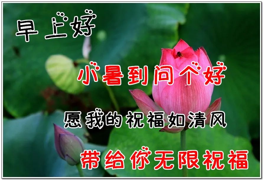 小暑,吉祥,万事如意