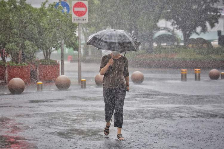 但是,再大的风雨,总有人无惧风雨,撑着伞在雨中前行.