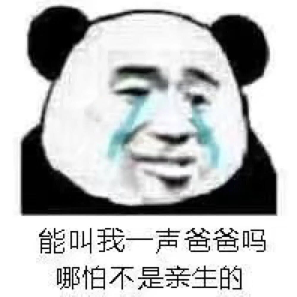 和对象聊天的必备表情包!