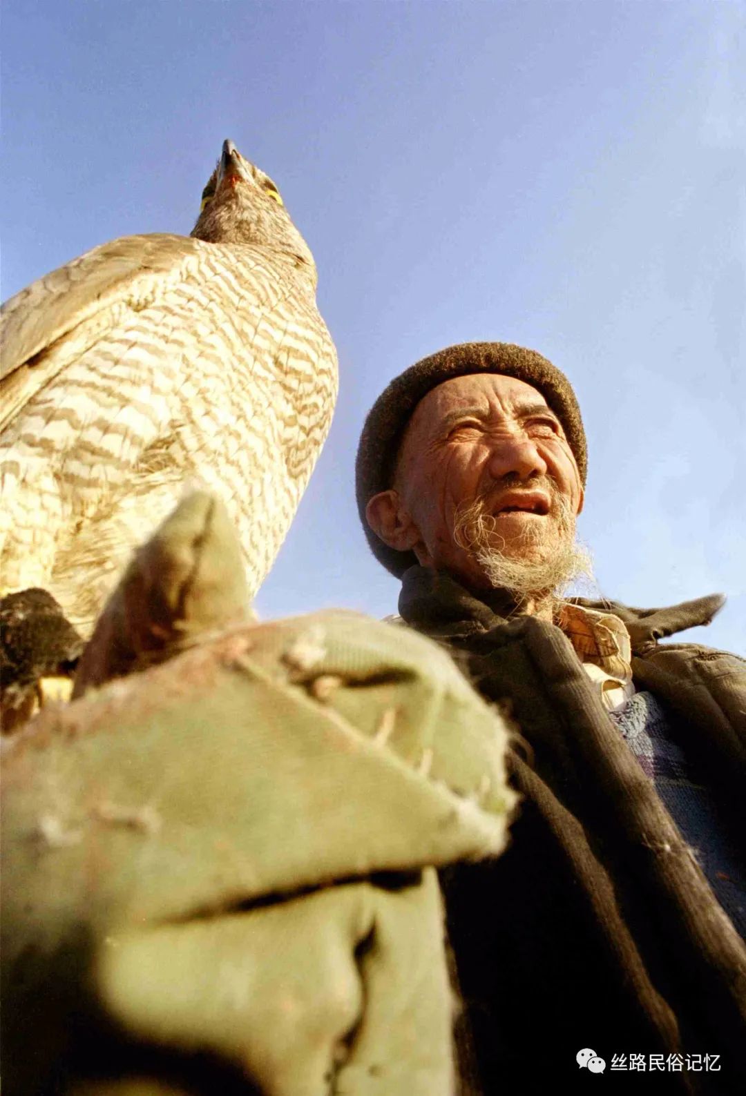 图说新疆传统生产生活方式(6):刀郎人的狩猎遗俗