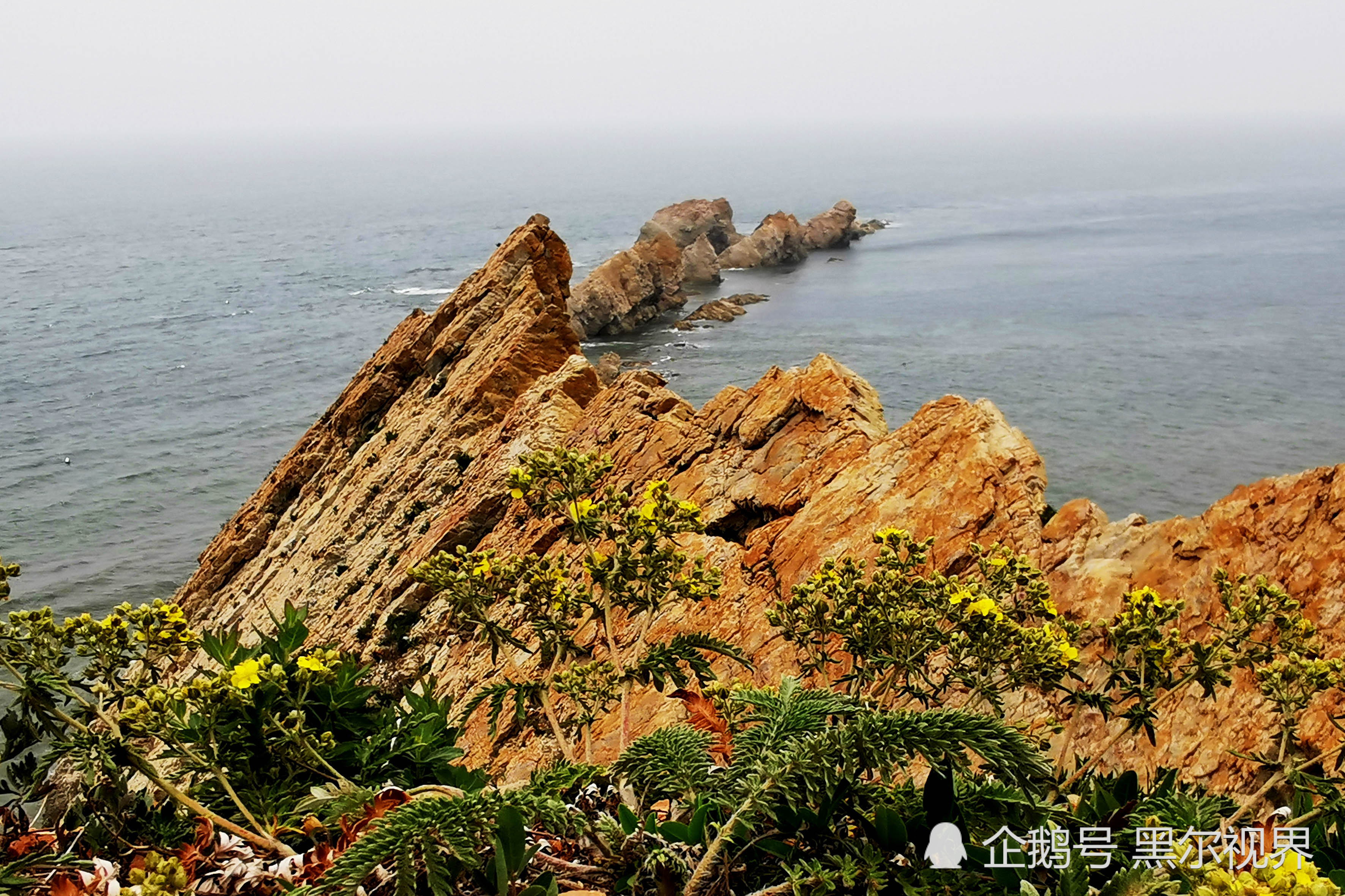 大连排石景区游客丢弃垃圾触目惊心