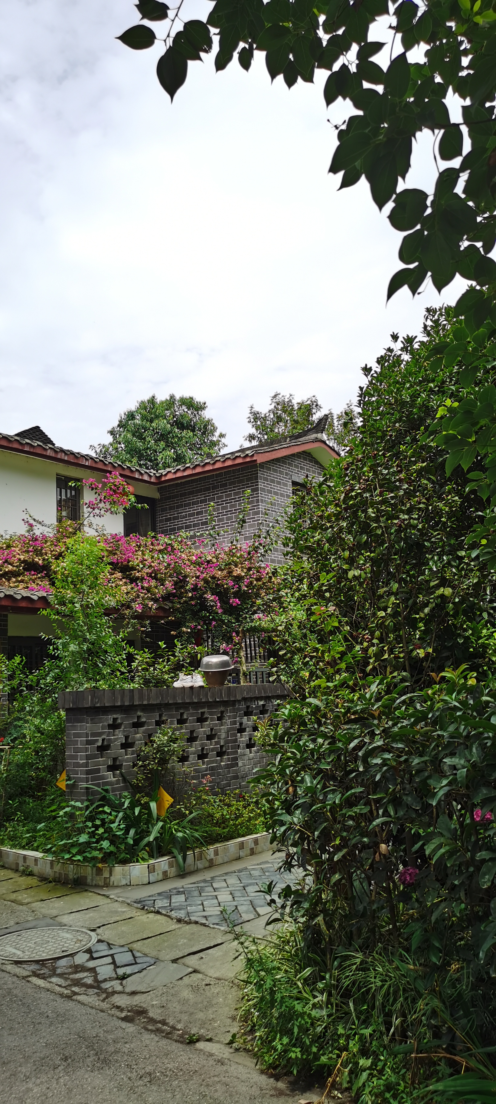 国内十大最美乡村之一,成都郫都区红枫林村,一起来感受下乡村风情