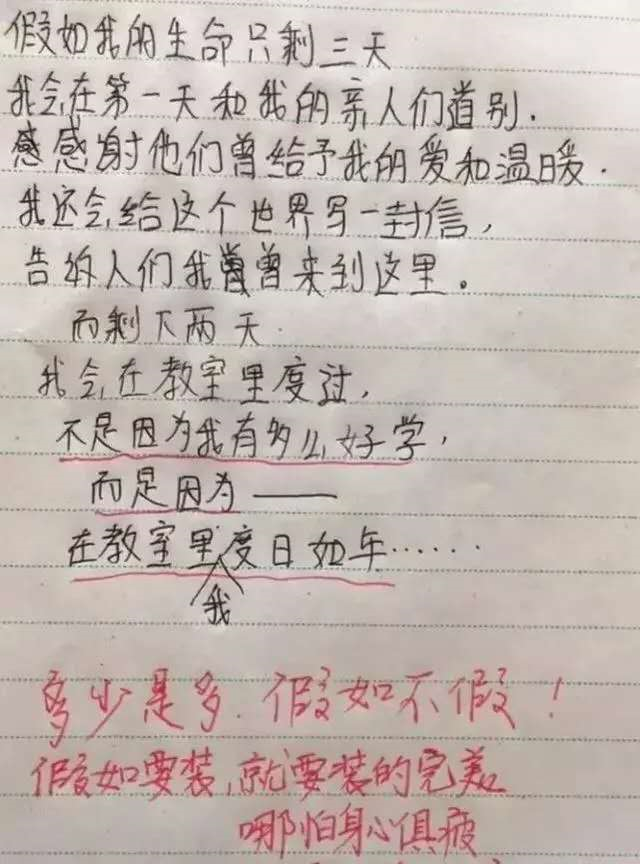 小学生,小学生搞笑作文,搞笑作文,作文,奇葩作文