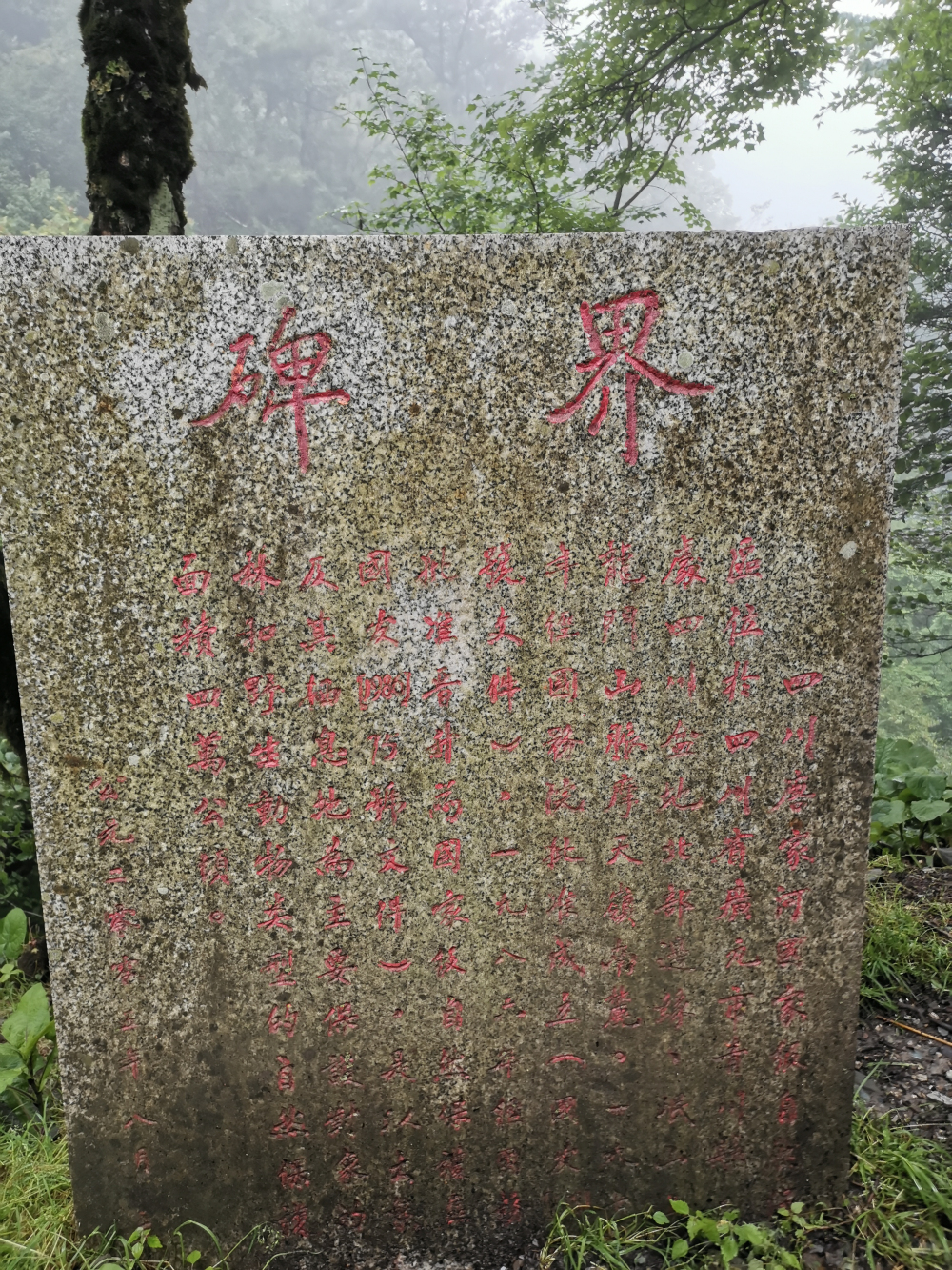 徒步广元唐家河阴平古道,登顶摩天岭,行走剑门蜀道感受三国文化