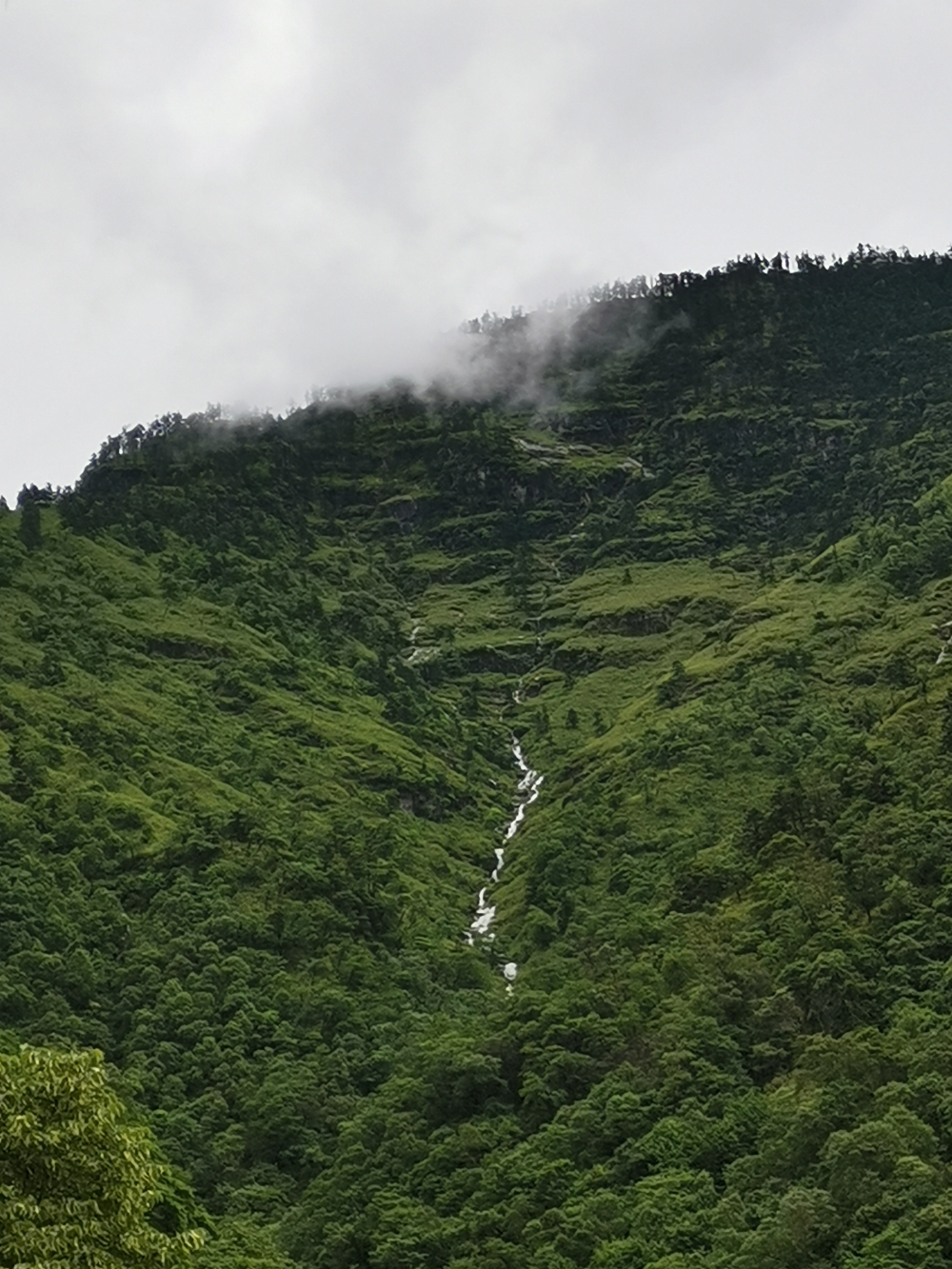 徒步广元唐家河阴平古道,登顶摩天岭,行走剑门蜀道感受三国文化