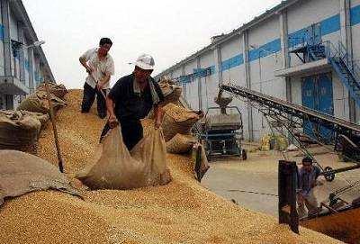 粮食批发店算不算粮食收购企业类型呢