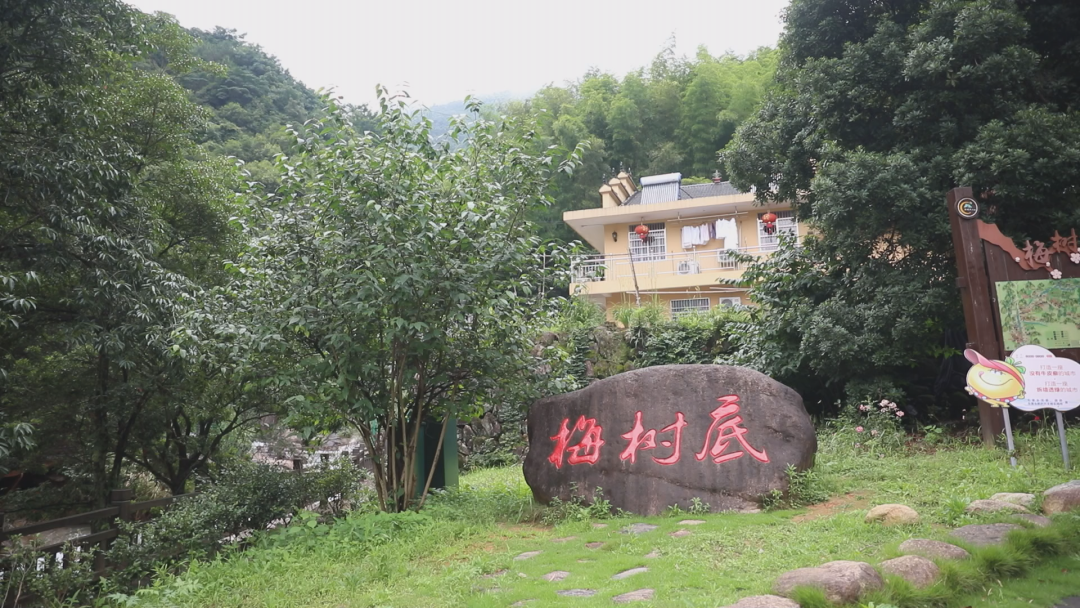 东案乡梅树底村:山区变景区 生态富农奔小康