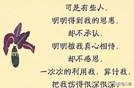 不是我傻,只是我不想说