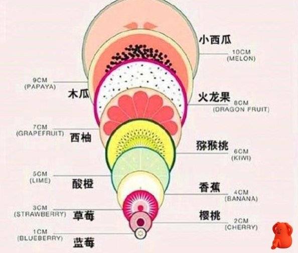 顺产宫口"开十指"是什么概念?这两张对比图告诉你,母亲的伟大