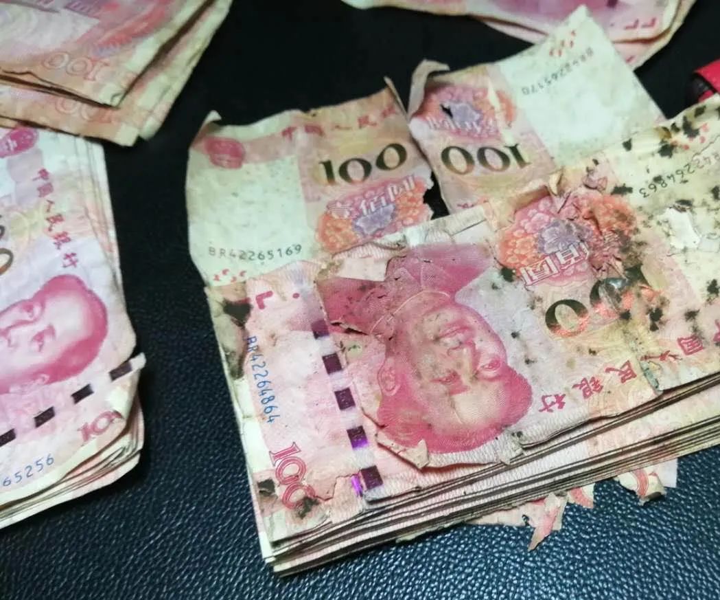 10万元现金藏卫生间,一半纸币发霉了!