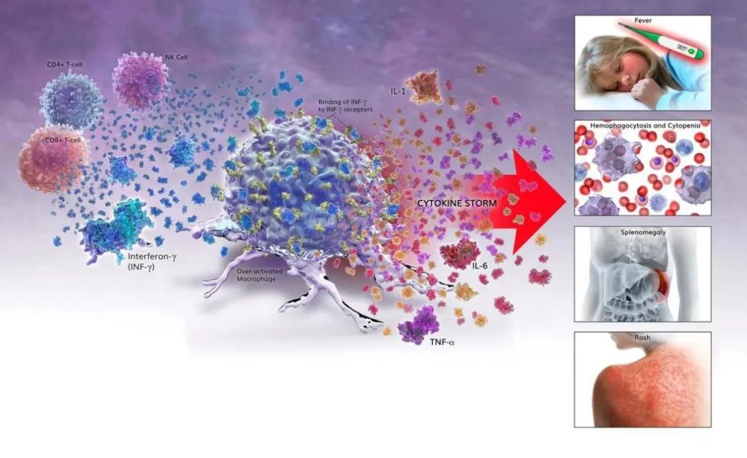 细胞因子风暴,新冠,细胞,新冠肺炎,类风湿关节炎