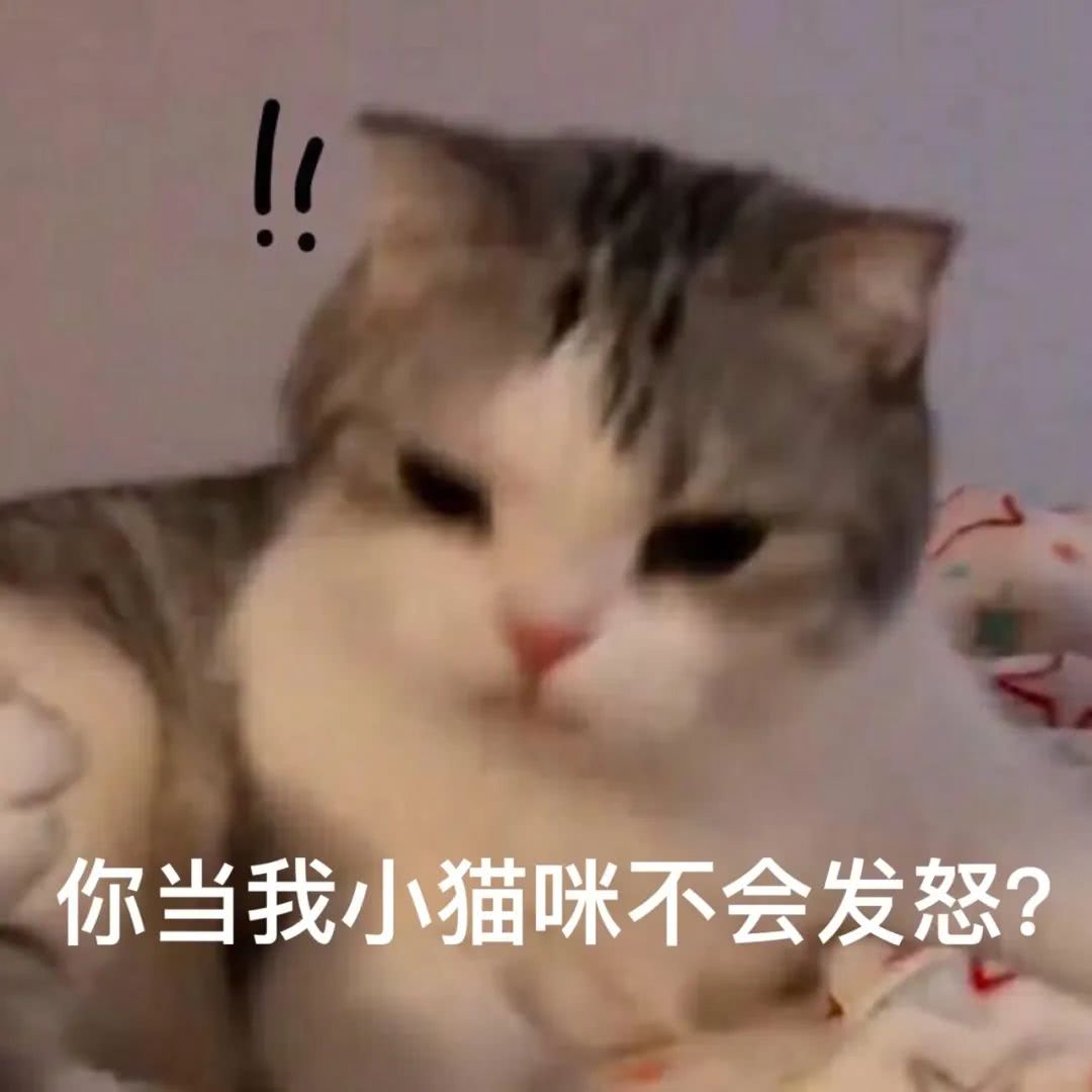 这么可爱的猫猫表情包,你是不是得拥有!