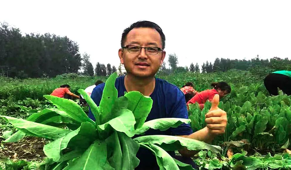 三农,种植,微量元素,饮食均衡,畜牧饲料