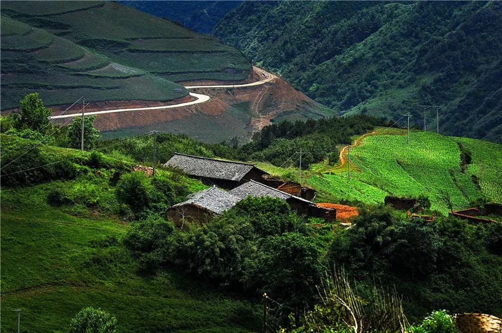 凉山彝族自治州,大凉山,彝族,索玛花