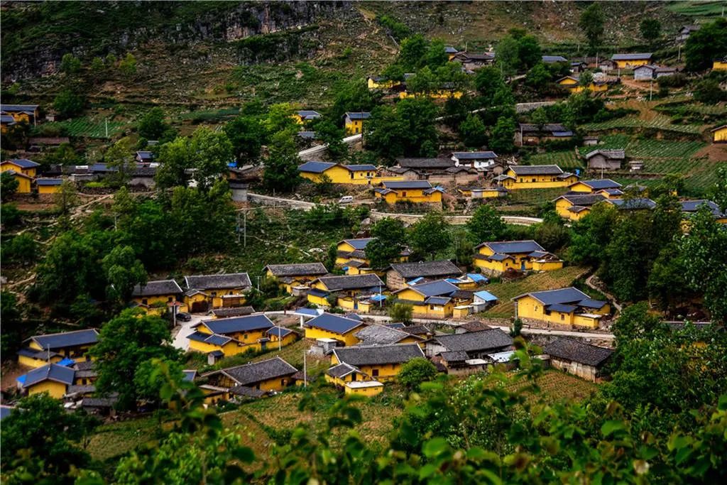 凉山彝族自治州,大凉山,彝族,索玛花