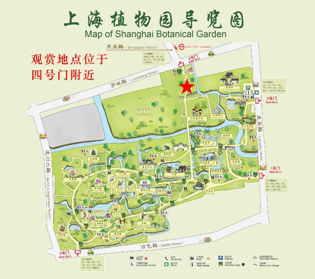 来上海植物园网红地赏花解愁吧