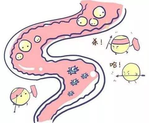 这些细菌是健康卫士