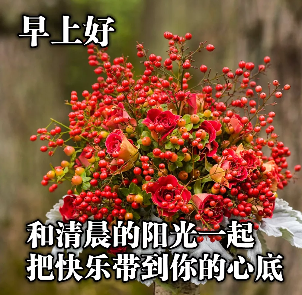 清晨祝福朋友早上好的精美好句子 最甜蜜的早上好问候