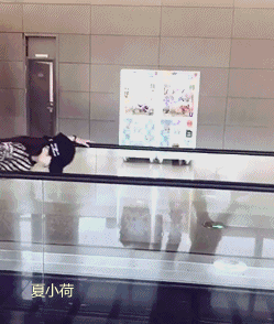 5.现在没点真本事,我都不敢坐电梯了!