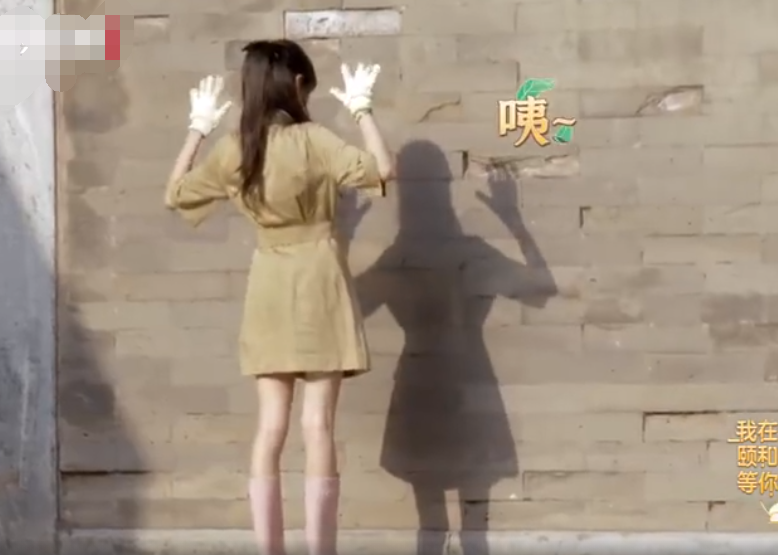 郑爽穿"淡黄的长裙"美炸天!镜头无意中扫到她的影子,真人比精修还瘦