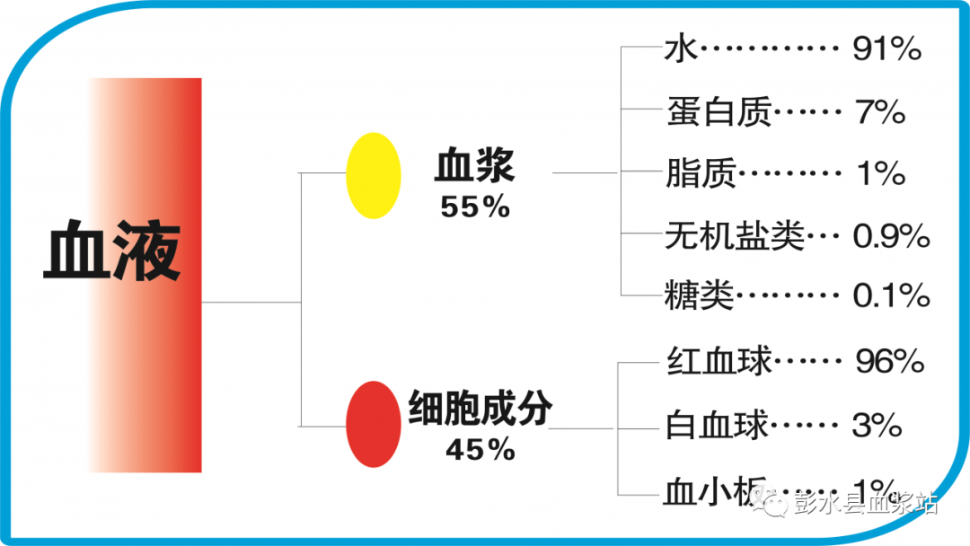 自动从血液分离出血浆成分,并将血细胞回输给献浆者的过程