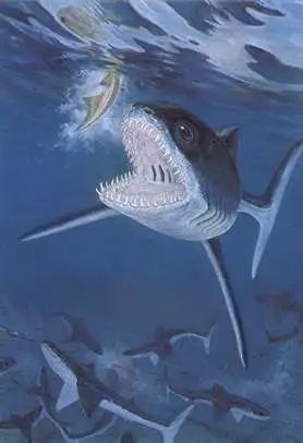 裂口鲨:4亿年前的鲨鱼家族老祖宗