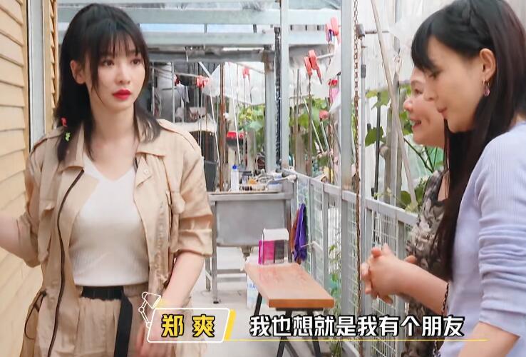 郑爽又悄悄做了公益!看望被抛弃的宠物,一个举动暴露了她的爱心