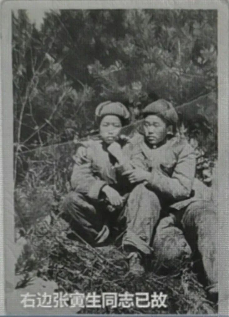 抗美援朝战争,中国人民志愿军,周建刚,老照片,中国人民解放军,陈祯芳