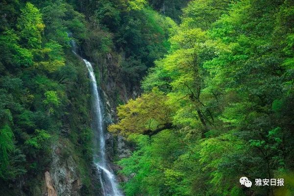 雅安这三条线路给你夏日清凉