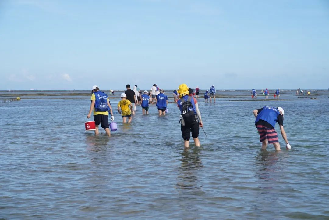 东寨港红树林,自驾,海岸线,东郊椰林,海南