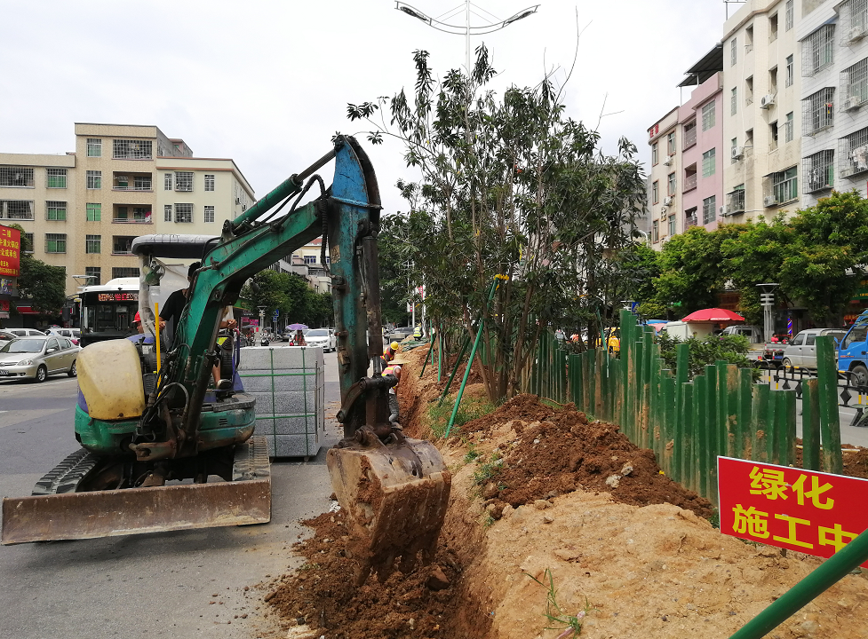 这是夏街大道 绿化升级工程现场
