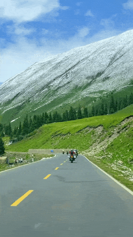 449_798 竖版 竖屏 gif 动态图 动图