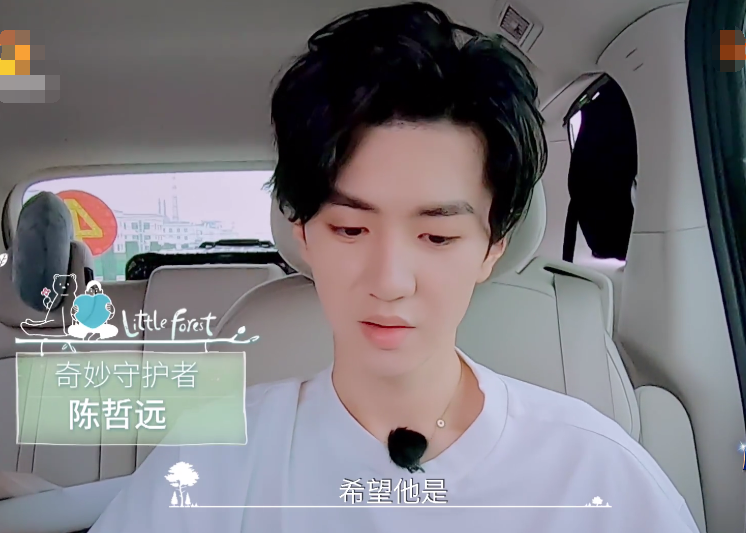 谭松韵,陈哲远,奇妙小森林,张新成