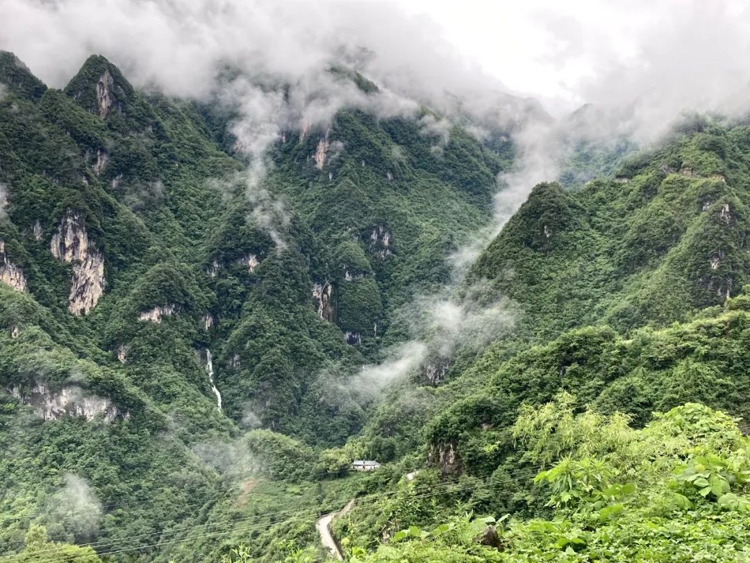 冲向大山的怀抱好生休养