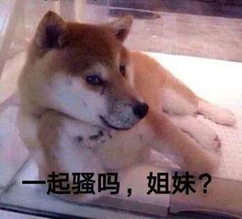 聊天表情包图片:微信群男女撩人情话