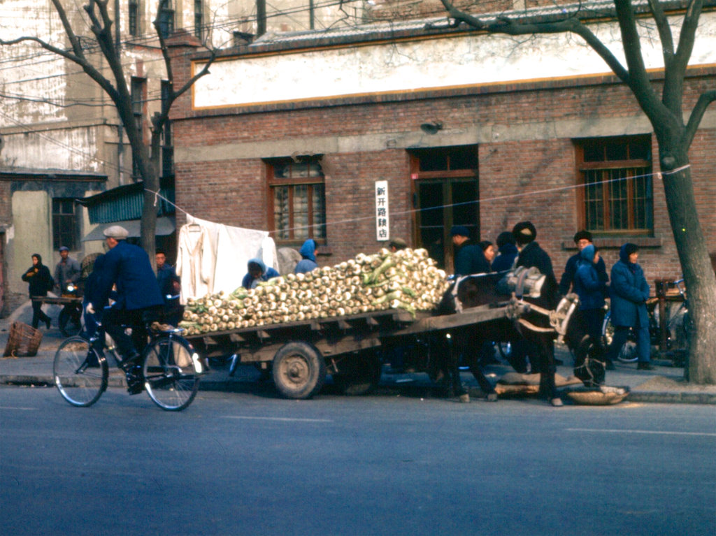 天津生活,1975年,老照片