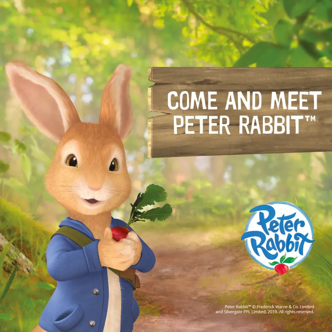 这只兔子太淘气了,怎么有点像自家娃儿?英文动画peter