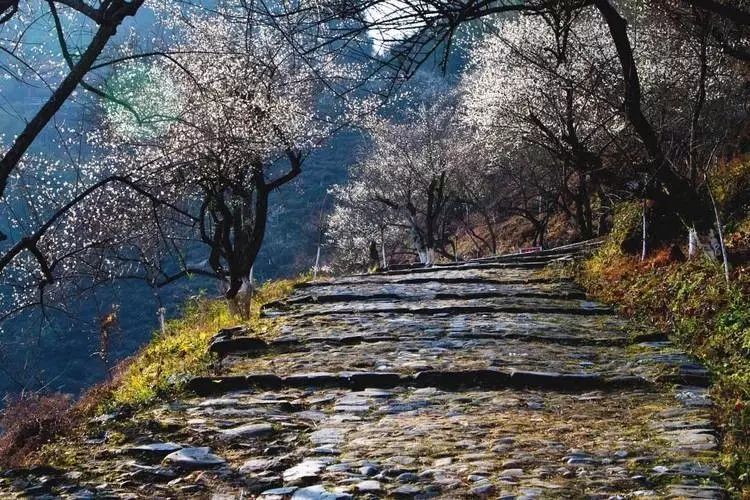 古驿道,梅关古道,横浦关,梅岭,梅岭古道,大庾岭