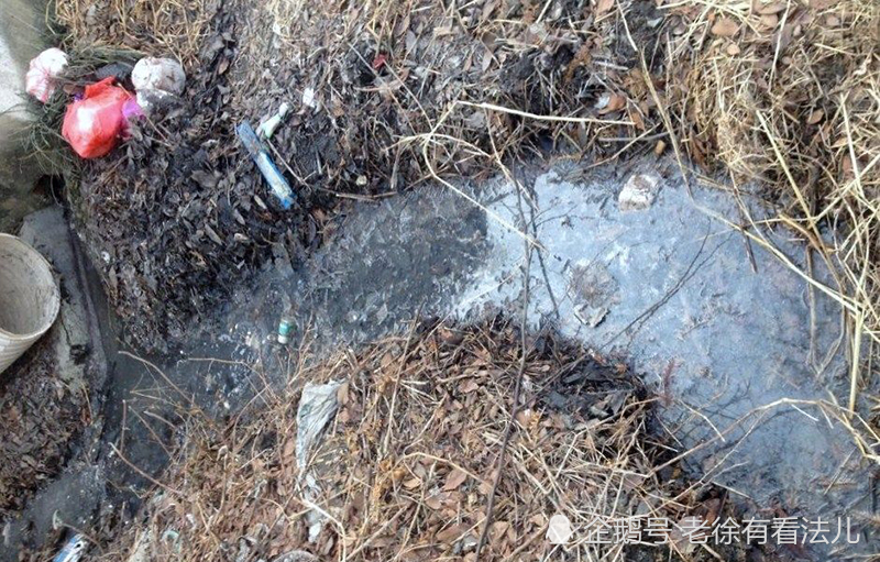 养殖刚刚松动,畜禽粪便就遭"禁",农民:看不懂,专家咋想的?