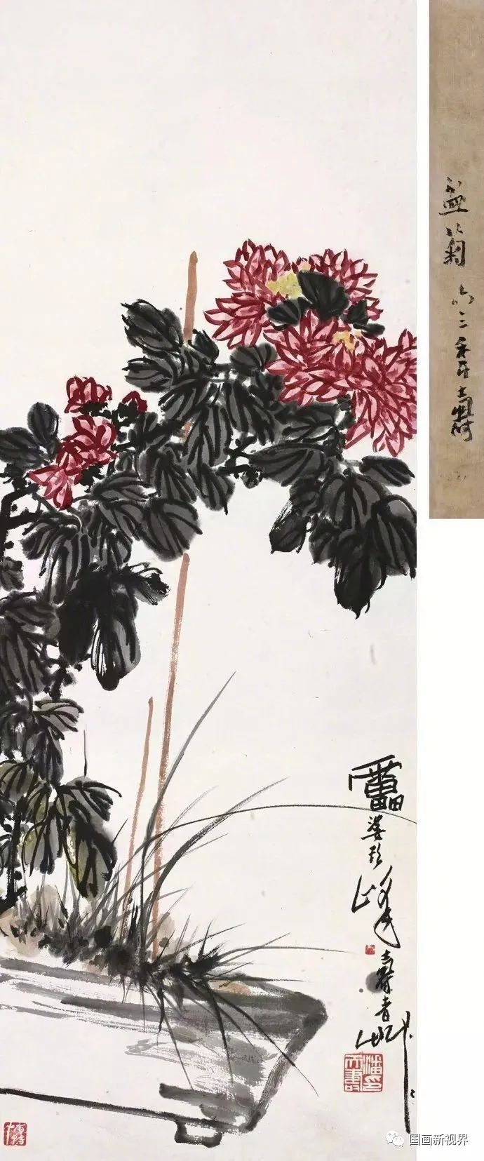 潘天寿 菊花