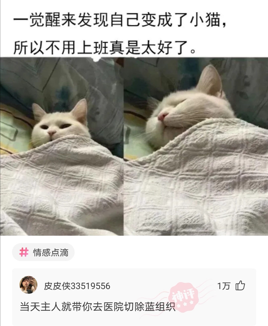 搞笑,表情包,段子