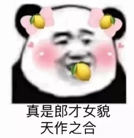 那些怼人必备的熊猫头表情包1.0