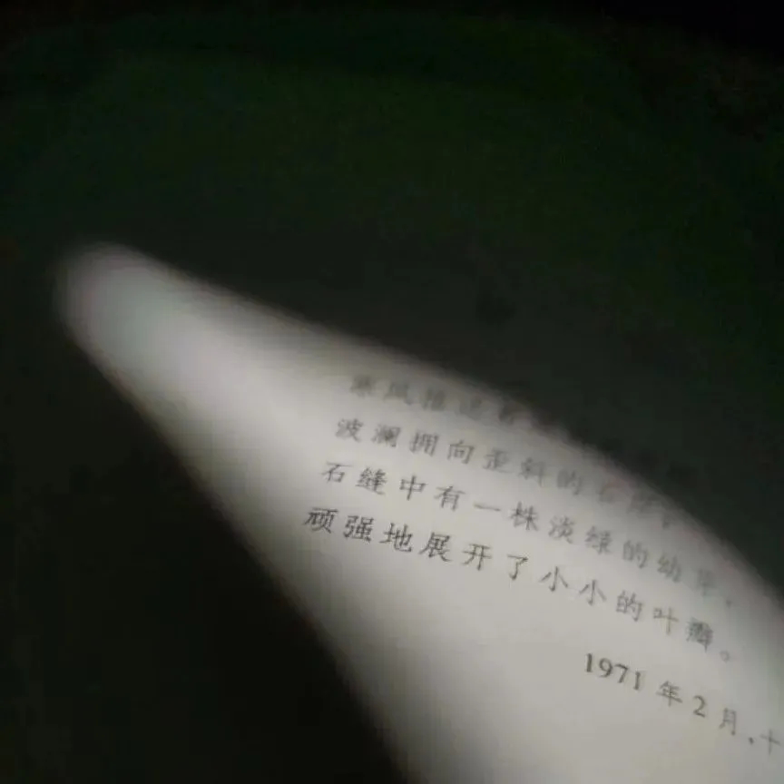 微丧伤感背景图:只想快乐