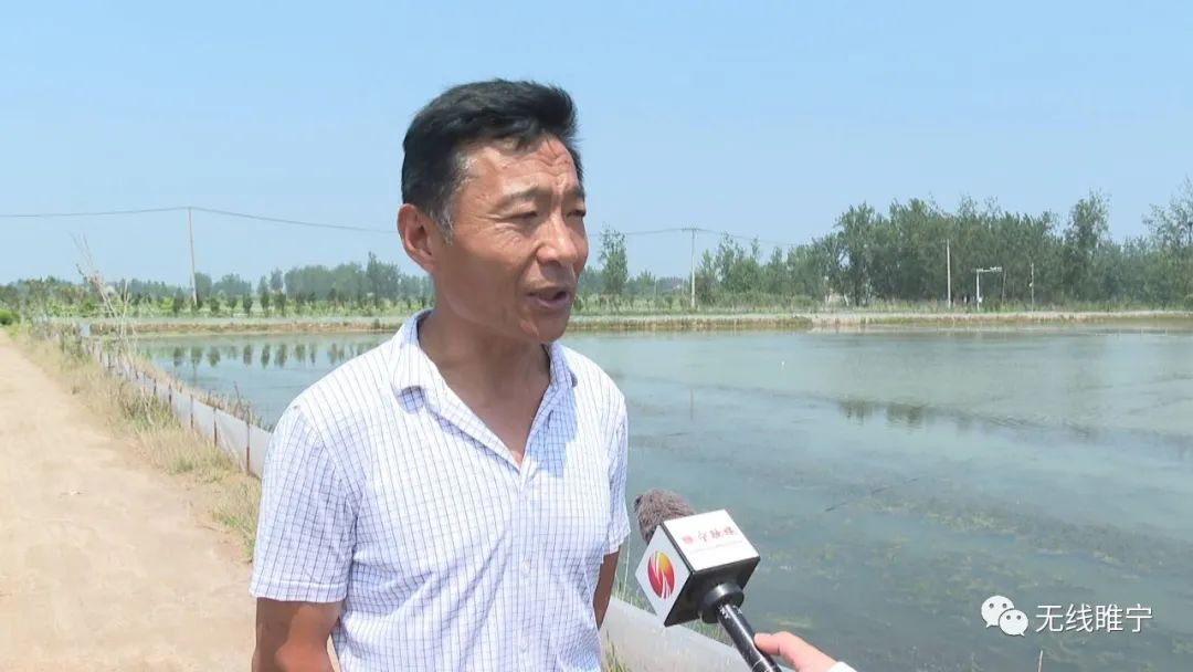 睢宁县,沙集镇,魏集村,臧强,魏集镇