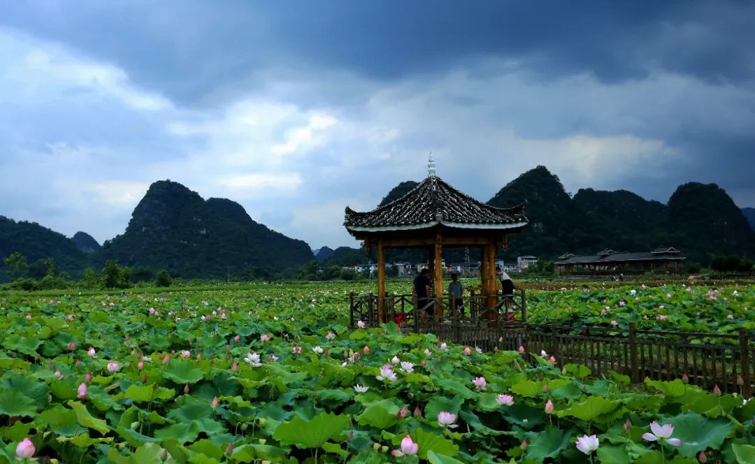 雁山区,大埠乡,陶家村,桂林