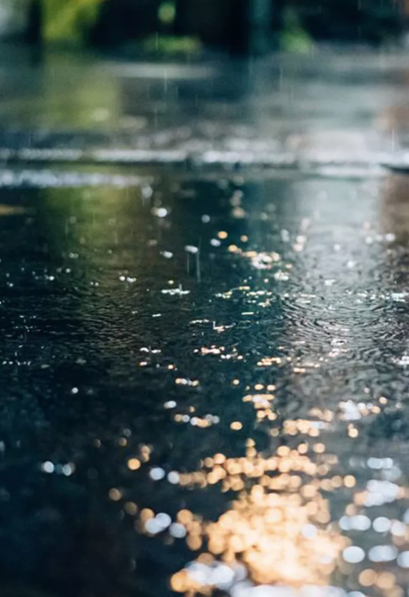 不属于我的雨伞 我宁愿淋雨走路