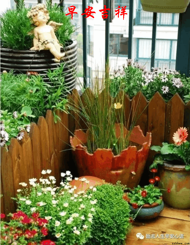 640_826 竖版 竖屏