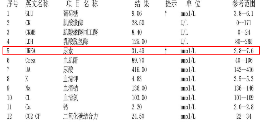 尿素肌酐 腾讯网