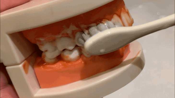 幼儿如何做牙齿清洁和保养?