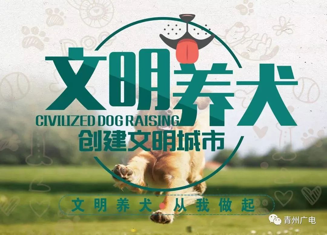 青州市文明养犬倡议书【呼吁扩散】